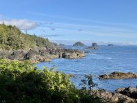 14. Tag – Parksville bis Tofino – Spaziergang auf dem „Lighthouse Loop“ in Ucluelet