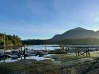 15. Tag – Morgenstimmung am Hafen in Tofino