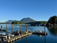 15. Tag – Morgenstimmung am Hafen in Tofino