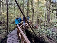 15. Tag – Pacific Rim National Park Reserve – Spaziergang durch den Regenwald