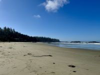15. Tag – Pacific Rim National Park Reserve – 1. Aufenthalt am Long Beach