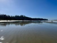 15. Tag – Pacific Rim National Park Reserve – 1. Aufenthalt am Long Beach