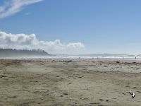 15. Tag – Pacific Rim National Park Reserve – 2. Aufenthalt am Long Beach