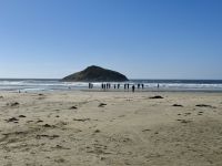 15. Tag – Pacific Rim National Park Reserve – 2. Aufenthalt am Long Beach