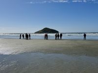 15. Tag – Pacific Rim National Park Reserve – 2. Aufenthalt am Long Beach