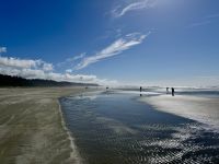 15. Tag – Pacific Rim National Park Reserve – 2. Aufenthalt am Long Beach