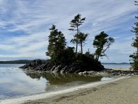 15. Tag – Nachmittag in Tofino – Spaziergang zum Tonquin Beach und Third Beach