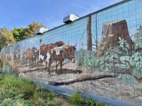 16. Tag – Tofino bis Victoria – Wandgemälde in Chemainus