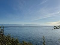 16. Tag – Stadtrundfahrt/-gang in Victoria – Blick zu den Olympic Mountains vom Beacon Hill Park