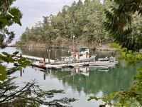 17. Tag – Victoria bis Vancouver – Besuch der Butchart Gardens – Butchart Cove