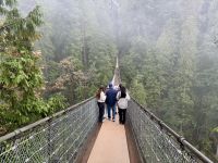 18. Tag – Ausflug in den Norden Vancouvers – Capilano-Hängebrücke