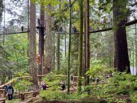 18. Tag – Ausflug in den Norden Vancouvers – Baumwipfelpfad an der Capilano-Hängebrücke