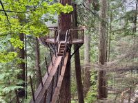 18. Tag – Ausflug in den Norden Vancouvers – Baumwipfelpfad an der Capilano-Hängebrücke