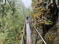 18. Tag – Ausflug in den Norden Vancouvers – Cliff Walk an der Capilano-Hängebrücke