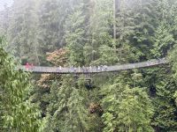 18. Tag – Ausflug in den Norden Vancouvers – Capilano-Hängebrücke