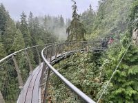 18. Tag – Ausflug in den Norden Vancouvers – Cliff Walk an der Capilano-Hängebrücke