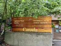 18. Tag – Ausflug in den Norden Vancouvers – Capilano Salmon Hatchery