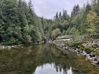 18. Tag – Ausflug in den Norden Vancouvers – Capilano Salmon Hatchery