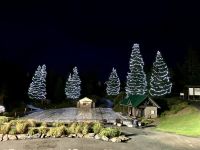 Der Eislaufplatz im Weihnachtskleid &ndash; &copy; Elisabeth Fox-Maerki (Eberhardt TRAVEL)