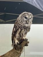 Weil sie so schoen ist &ndash; &copy; Elisabeth Fox-Maerki (Eberhardt TRAVEL)