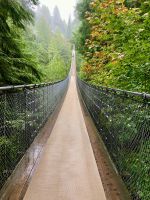 Die Haengebruecke  &ndash; &copy; Elisabeth Fox-Maerki (Eberhardt TRAVEL)