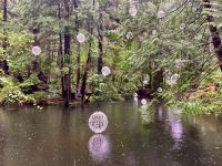 Neue Beleuchtung in Cap Susp Bridge Park &ndash; &copy; Elisabeth Fox-Maerki (Eberhardt TRAVEL)