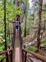 Der Wipfelweg in Capilano suspension Bridge Park &ndash; &copy; Elisabeth Fox-Maerki (Eberhardt TRAVEL)