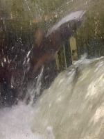 Er hat es geschafft &ndash; &copy; Elisabeth Fox-Maerki (Eberhardt TRAVEL)