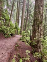 Unser Wanderweg in Nord Vancouver &ndash; &copy; Elisabeth Fox-Maerki (Eberhardt TRAVEL)