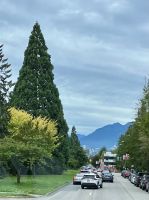 Sequoias auf dem Weg nach Vancouver &ndash; &copy; Elisabeth Fox-Maerki (Eberhardt TRAVEL)