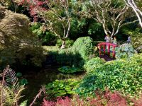 Die rote Holzbruecke &ndash; &copy; Elisabeth Fox-Maerki (Eberhardt TRAVEL)