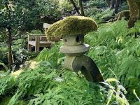Laterne im japanischen Garten &ndash; &copy; Elisabeth Fox-Maerki (Eberhardt TRAVEL)