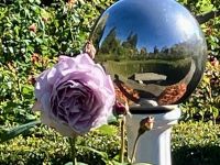 Die blaue Rose &ndash; &copy; Elisabeth Fox-Maerki (Eberhardt TRAVEL)