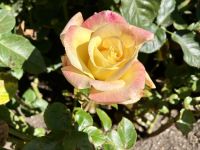 Ich bin die Schoenste &ndash; &copy; Elisabeth Fox-Maerki (Eberhardt TRAVEL)