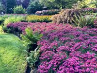 Bluetenpracht &ndash; &copy; Elisabeth Fox-Maerki (Eberhardt TRAVEL)