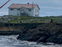 Race Rocks oink oink oink &ndash; &copy; Elisabeth Fox-Maerki (Eberhardt TRAVEL)