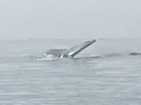 Hei wie schoen  &ndash; &copy; Elisabeth Fox-Maerki (Eberhardt TRAVEL)