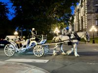 Fiakker in Victoria by nicht &ndash; &copy; Elisabeth Fox-Maerki (Eberhardt TRAVEL)