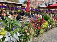 Strassenkaffee in Victoria Downtown &ndash; &copy; Elisabeth Fox-Maerki (Eberhardt TRAVEL)