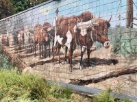 Wandbemalung in Chemainus &ndash; &copy; Elisabeth Fox-Maerki (Eberhardt TRAVEL)