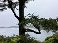 Der romantische Wanderweg &ndash; &copy; Elisabeth Fox-Maerki (Eberhardt TRAVEL)