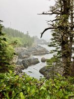 Aussichten aufs Meer &ndash; &copy; Elisabeth Fox-Maerki (Eberhardt TRAVEL)