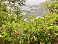 Es regnet in Stroemen und ist doch so schoen &ndash; &copy; Elisabeth Fox-Maerki (Eberhardt TRAVEL)