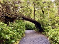 Unser heutige Wanderweg geht unten durch &ndash; &copy; Elisabeth Fox-Maerki (Eberhardt TRAVEL)