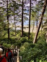 Durch Urwald an den Tonquin Strand &ndash; &copy; Elisabeth Fox-Maerki (Eberhardt TRAVEL)