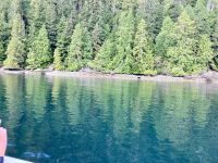 Da gibt es Krebschen und Muscheln zum Fruehstueck &ndash; &copy; Elisabeth Fox-Maerki (Eberhardt TRAVEL)