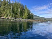 Hier der naechste  Baer &ndash; &copy; Elisabeth Fox-Maerki (Eberhardt TRAVEL)