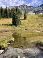 Kleiner See mit grosser Spiegelung &ndash; &copy; Elisabeth Fox-Maerki (Eberhardt TRAVEL)