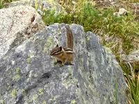 Ach, Du auch da ? &ndash; &copy; Elisabeth Fox-Maerki (Eberhardt TRAVEL)