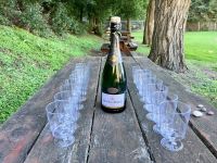 Genesungs-Prosecco am Seaton Lake &ndash; &copy; Elisabeth Fox-Maerki (Eberhardt TRAVEL)
